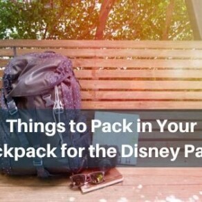 Things to Pack in Your Backpack for the Disney Parks