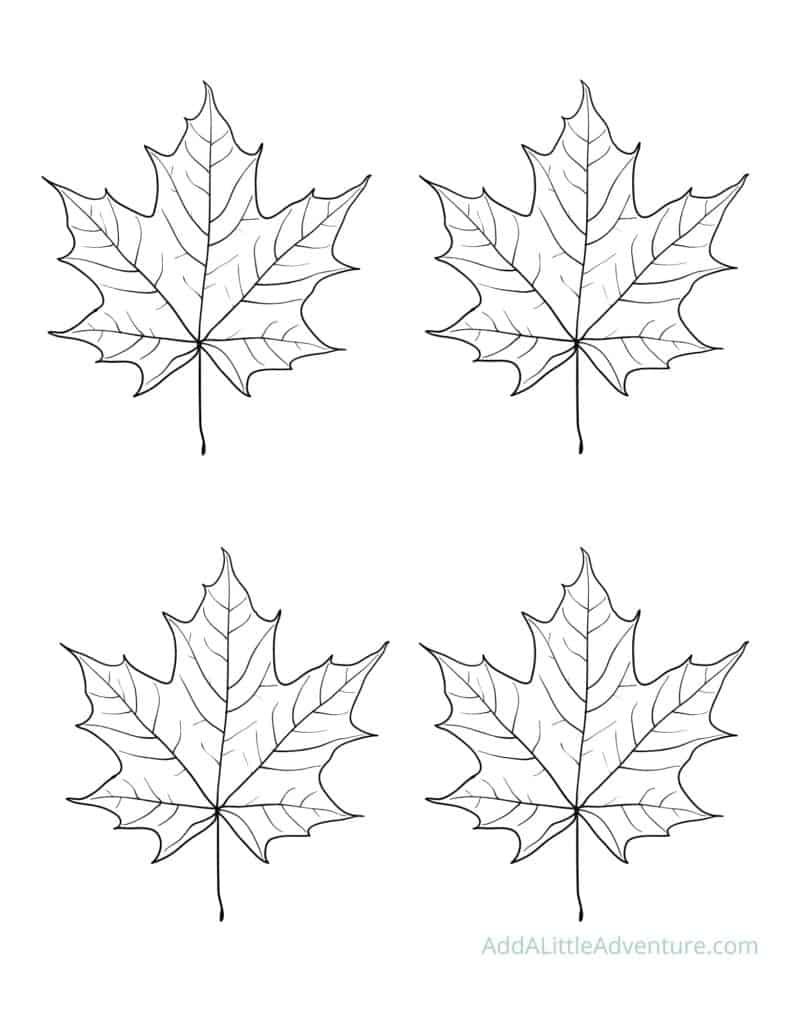 Medium Leaf Outlines