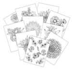 Adult Coloring Pages - Flowers {Free Printables} - Add A Little Adventure