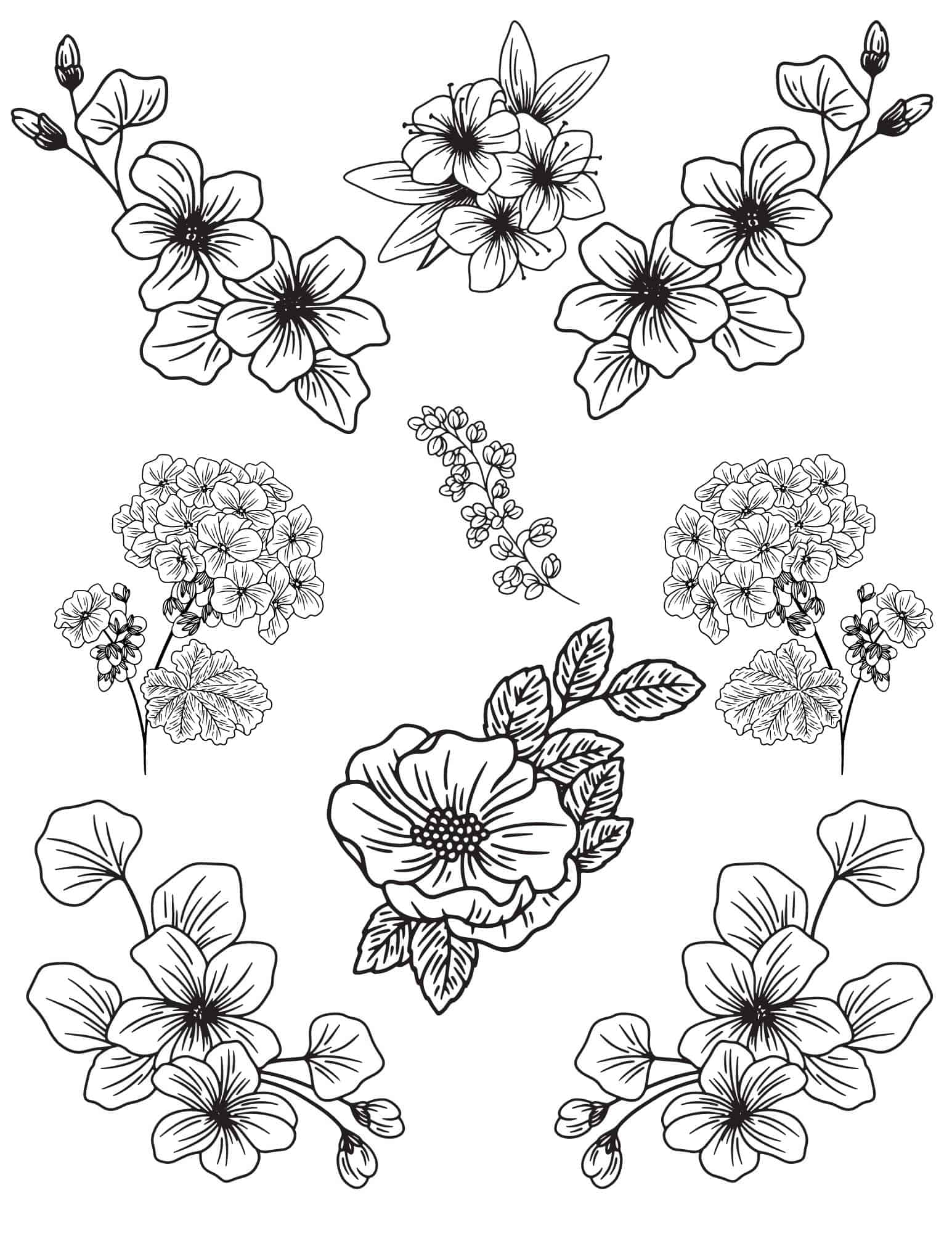 Adult Coloring Pages - Flowers {Free Printables} - Add A Little Adventure