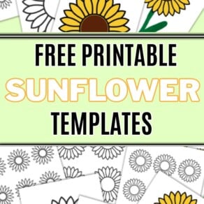 Free Printable Sunflower Templates