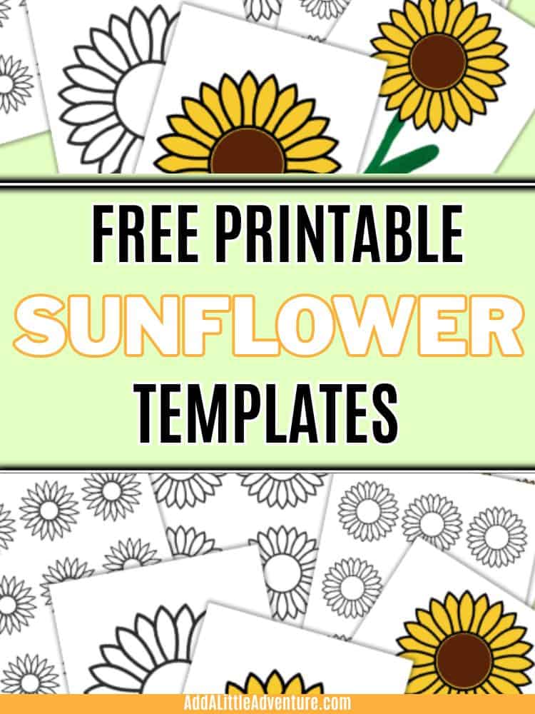 Free Printable Sunflower Templates
