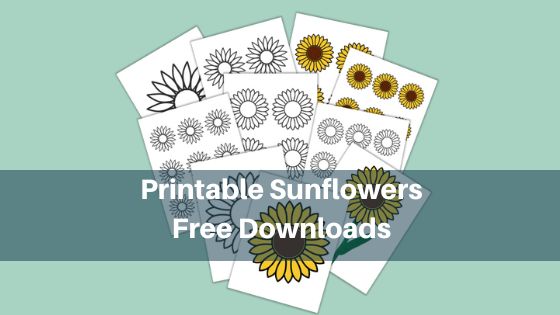Printable Sunflowers - Free Downloads