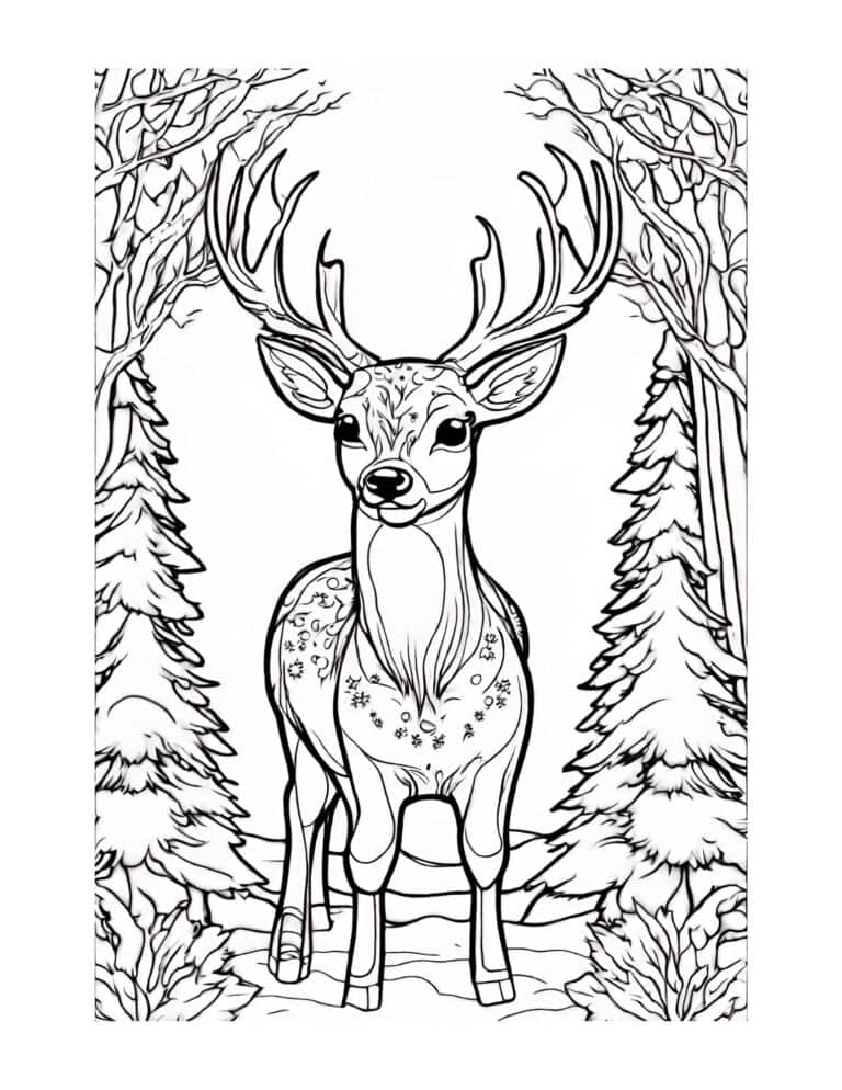 17 Free Printable Winter Coloring Pages