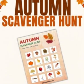 Free Printable Autumn Scavenger Hunt